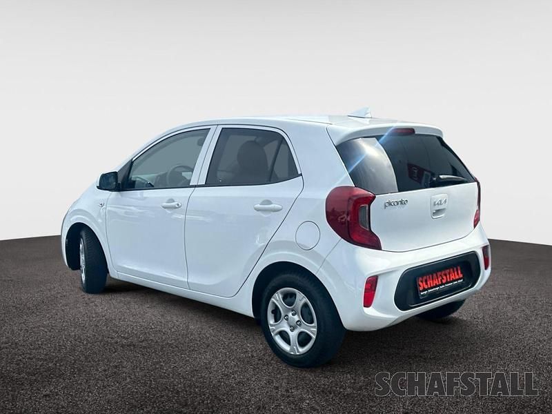 Gebraucht Kia Picanto Vision 67 PS (49 kW) 2024 Weiss ((ud) schneeweiss) Kleinwagen
