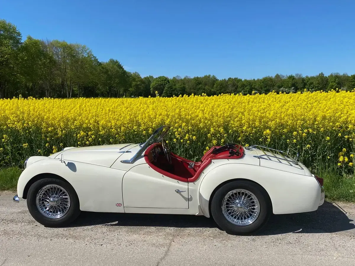 Gebraucht Triumph TR3 100 PS (73 kW) 1961 Weiß Cabrio