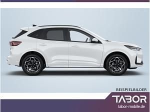 Neu Ford Kuga ST-Line 182 PS (133 kW) 2026 Weiß (frozen white) SUV