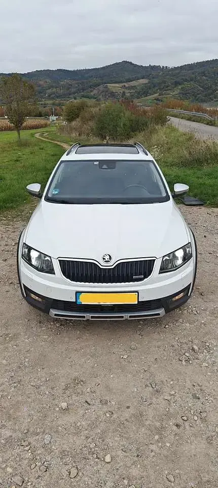 Gebraucht Skoda Octavia Scout Scout 4x4 184 PS (135 kW) 2016 Weiß Kombi