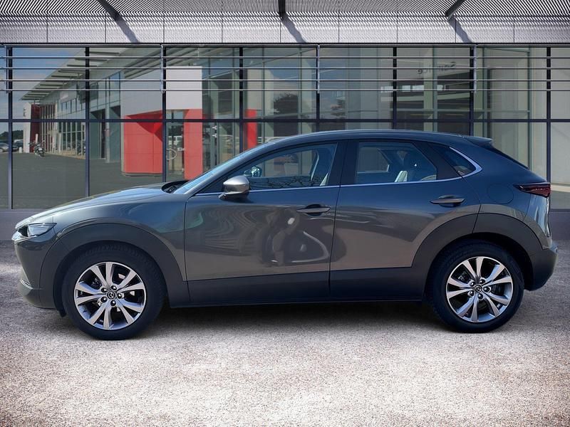 Gebraucht Mazda CX-30 Selection 186 PS (136 kW) 2022 Grau SUV