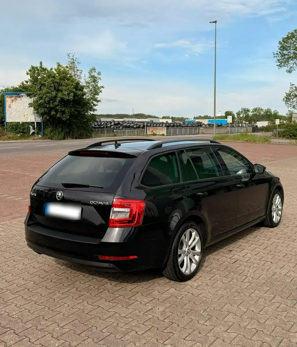 Gebraucht Skoda Octavia 116 PS (85 kW) 2019 Schwarz Kombi