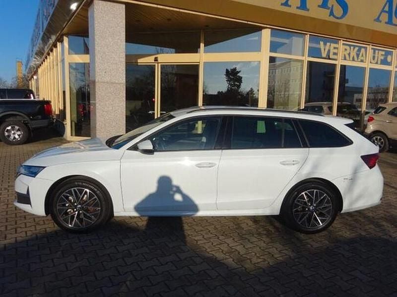 Gebraucht Skoda Octavia Selection 150 PS (110 kW) 2025 Moonweiss metallic Kombi