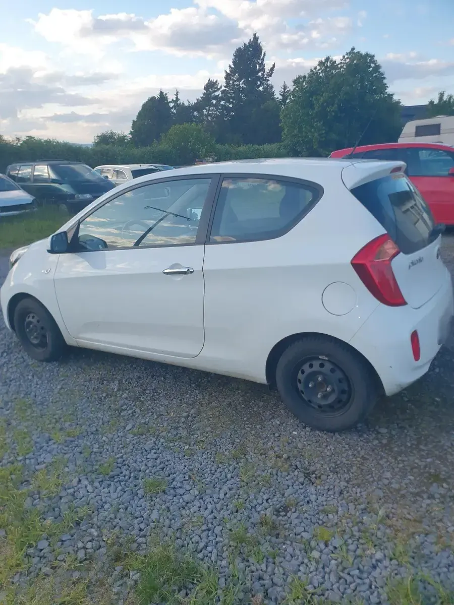 Gebraucht Kia Picanto 69 PS (50 kW) 2014 Weiß Kleinwagen