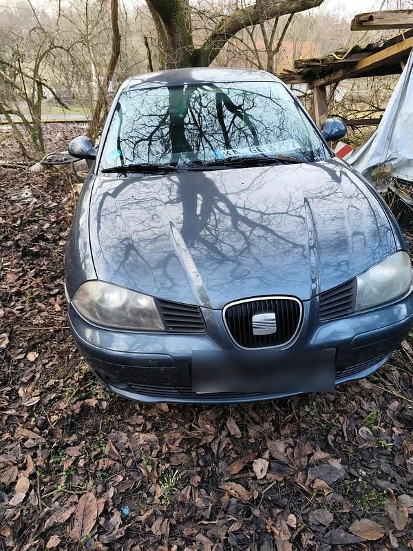 Gebraucht Seat Ibiza 60 PS (44 kW) 2006 Grau Kleinwagen