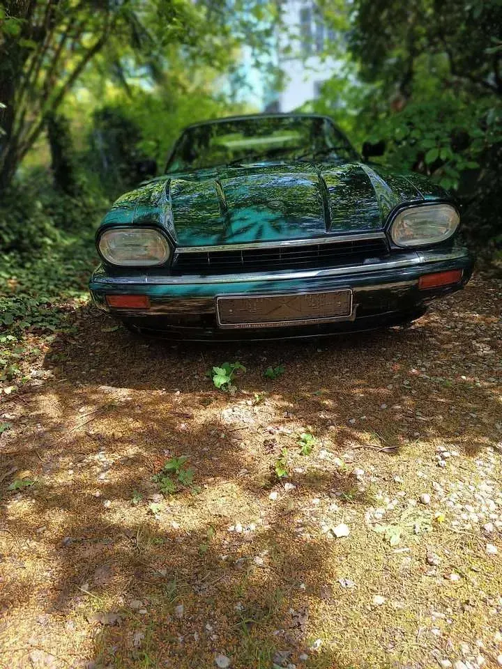 Usata Jaguar XJS 232 CV (170 kW) 1995 Verde Cabrio