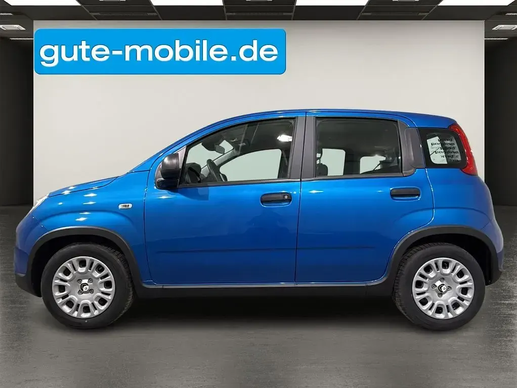 Usata Fiat Panda 69 CV (50 kW) 2024 Blu Utilitaria