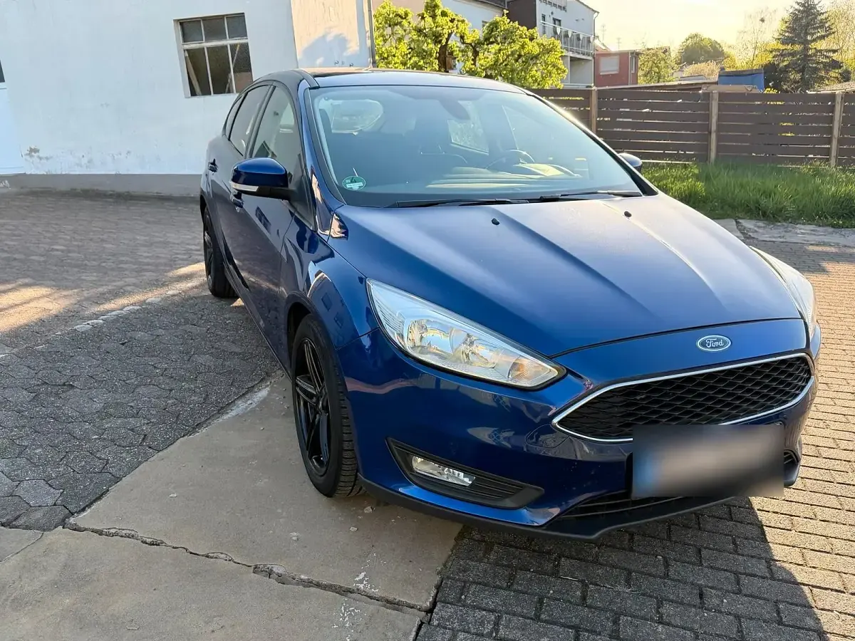 Usata Ford Focus 125 CV (91 kW) 2015 Blu Berlina