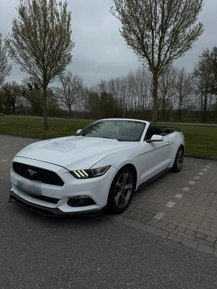 Gebraucht Ford Mustang 306 PS (225 kW) 2016 Weiß Cabrio
