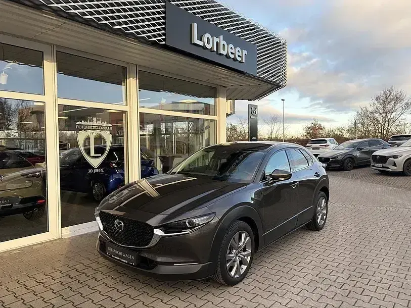 Gebraucht Mazda CX-30 Selection 150 PS (110 kW) 2020 Grau SUV