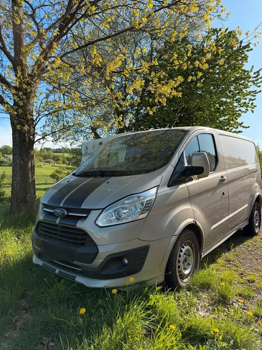 Gebraucht Ford Transit 160 PS (117 kW) 2016 Van
