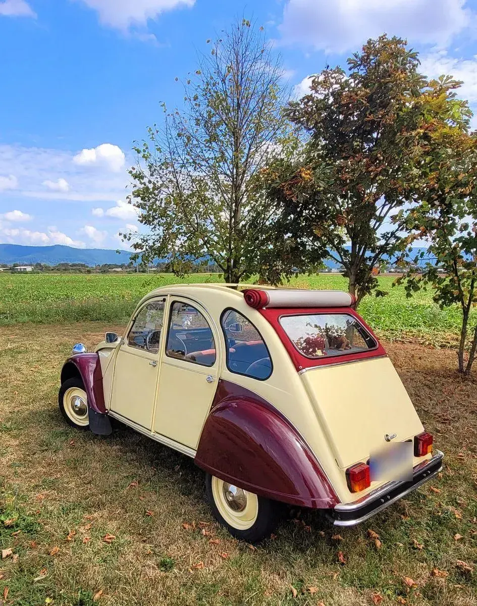 Gebraucht Citroën 2CV 27 PS (19 kW) 1987 Rot Limousine