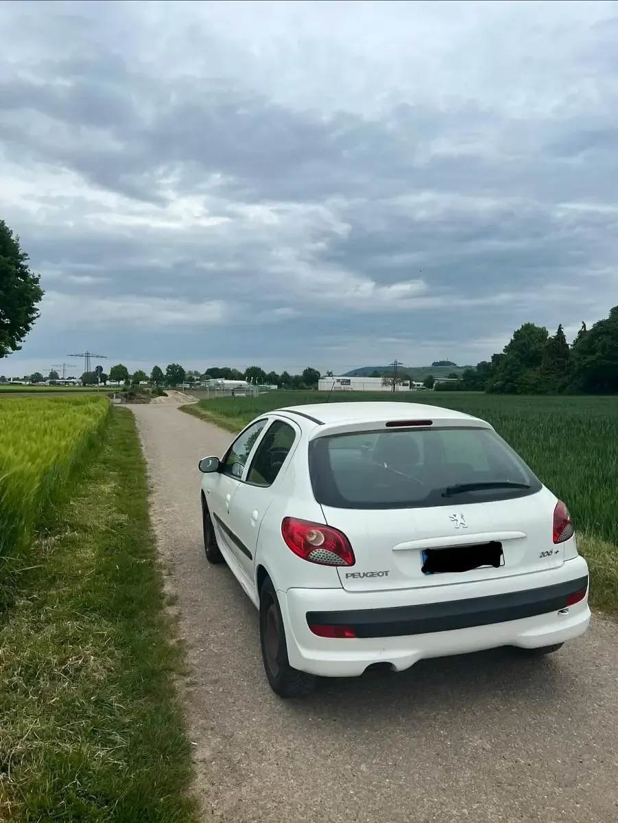 Gebraucht Peugeot 206+ 68 PS (50 kW) 2010 Weiß Kleinwagen