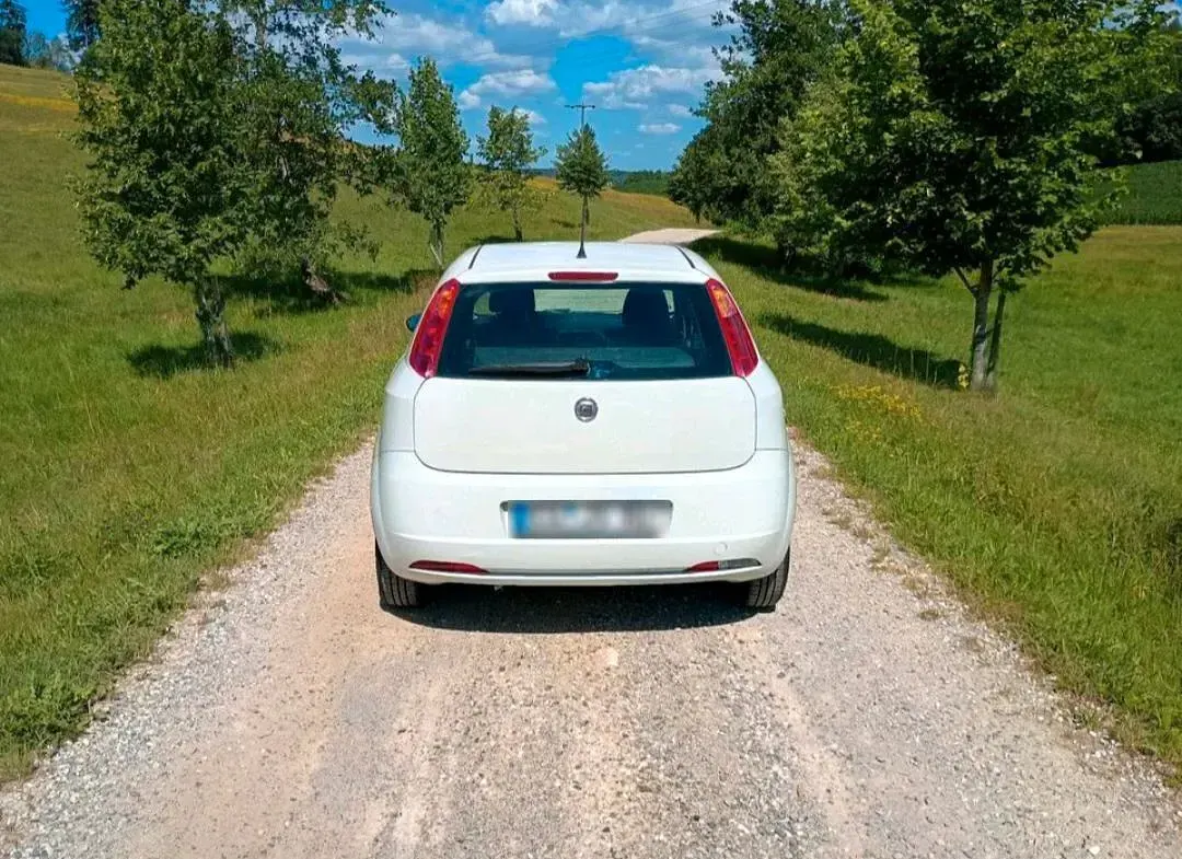 Gebraucht Fiat Grande Punto 65 PS (47 kW) 2009 Weiß Kleinwagen