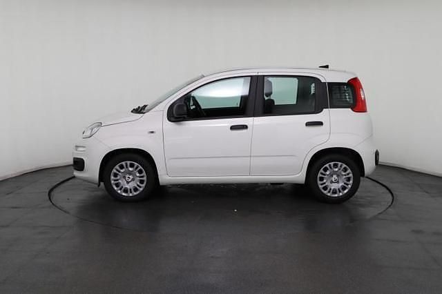 Neu Fiat Panda 69 PS (50 kW) 2025 Weiß, weiß uni Kleinwagen