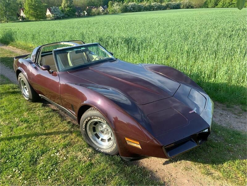 Violet Gebraucht 1979 Chevrolet Corvette Coupé | 15.300 € - Bild 1/4
