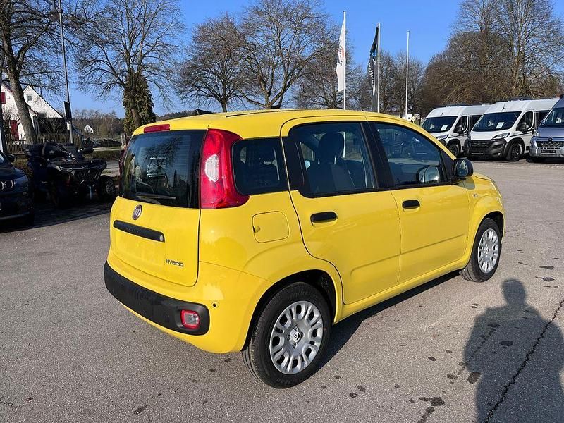 Neu Fiat Panda 65 PS (47 kW) 2026 Gelb Kleinwagen