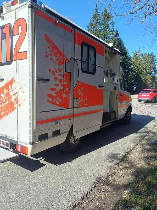 Gebraucht Mercedes Sprinter 129 PS (94 kW) 2006 Van