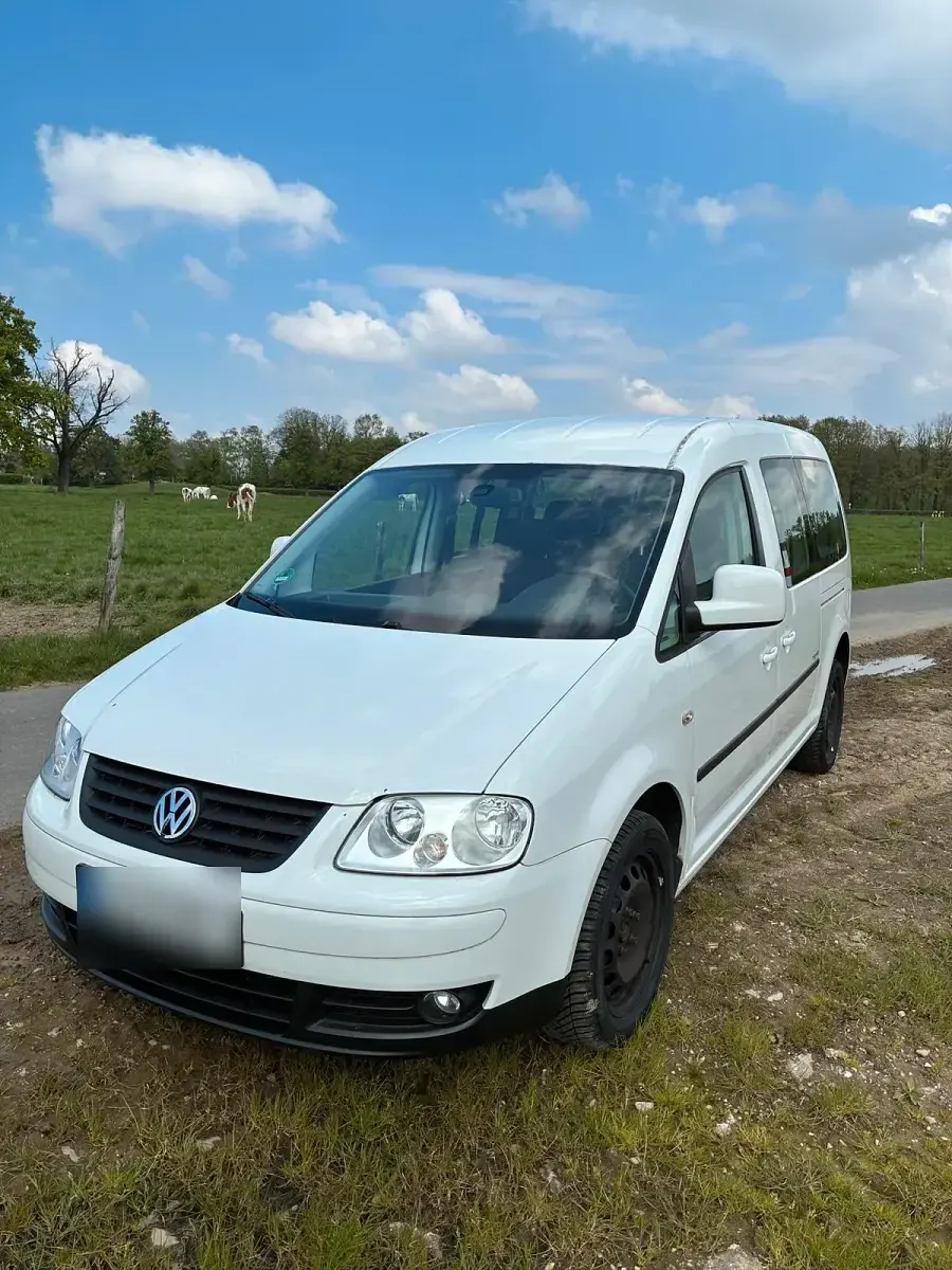 Gebraucht VW Caddy Maxi 102 PS (75 kW) 2010 Weiß Van / Kleinbus