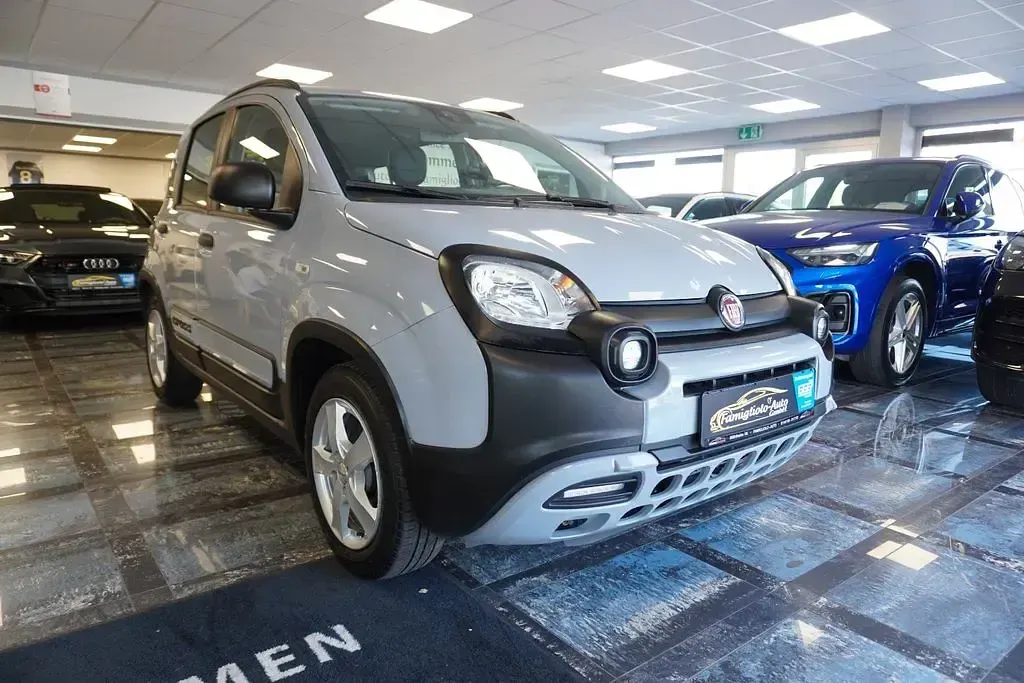 Gebraucht Fiat Panda Cross Cross 69 PS (50 kW) 2019 Grau Kleinwagen