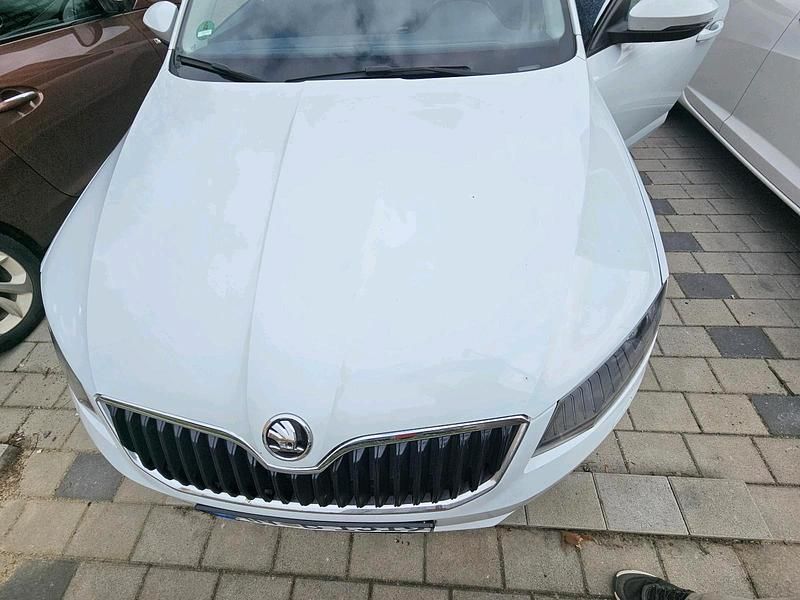 Gebraucht Skoda Octavia 110 PS (80 kW) 2016 Weiß Kleinwagen