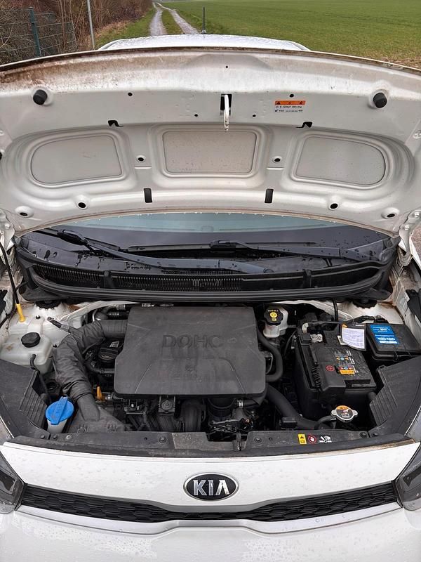 Gebraucht Kia Picanto 68 PS (50 kW) 2017 Weiß Kleinwagen