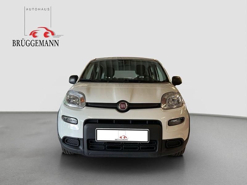 Gebraucht Fiat Panda 69 PS (50 kW) 2023 (weiss) Kleinwagen