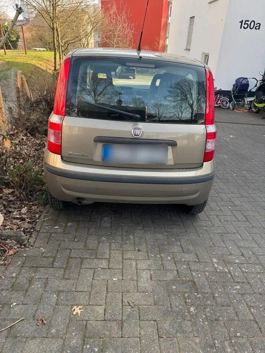 Gebraucht Fiat Panda 60 PS (44 kW) 2009 Beige Kleinwagen