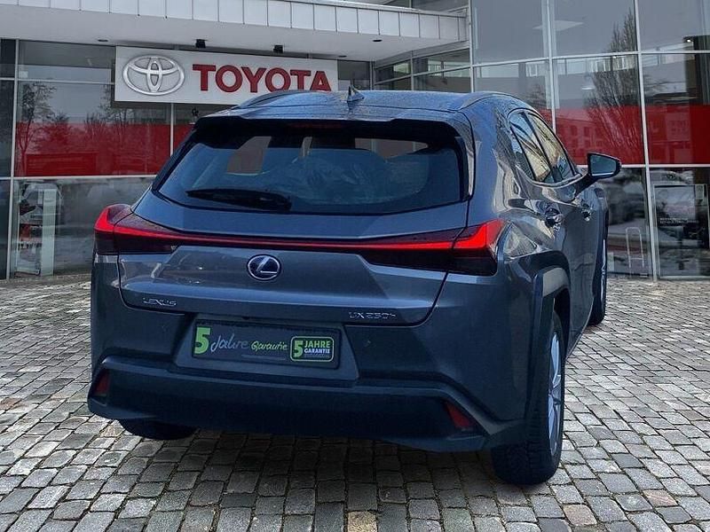Gebraucht Lexus UX 199 PS (146 kW) 2019 Grau SUV