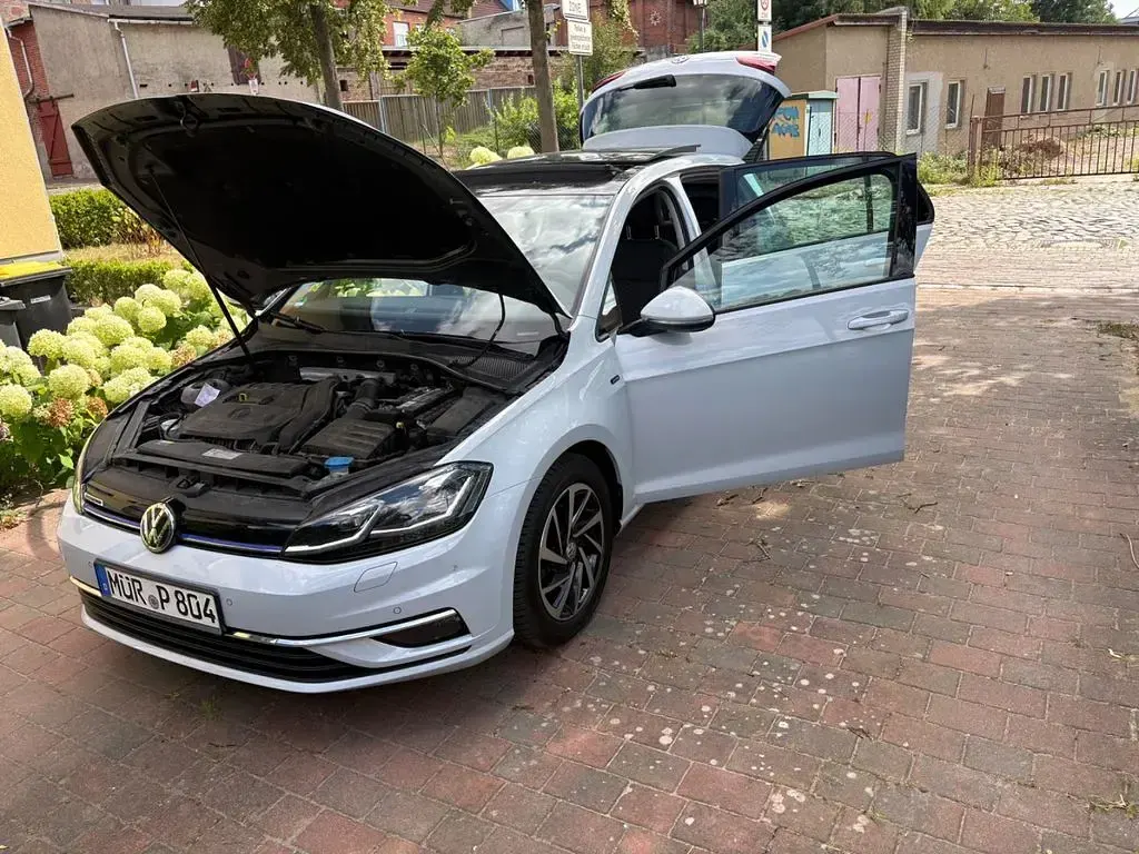 Gebraucht VW Golf VII Comfortline 131 PS (96 kW) 2019 Weiß Limousine