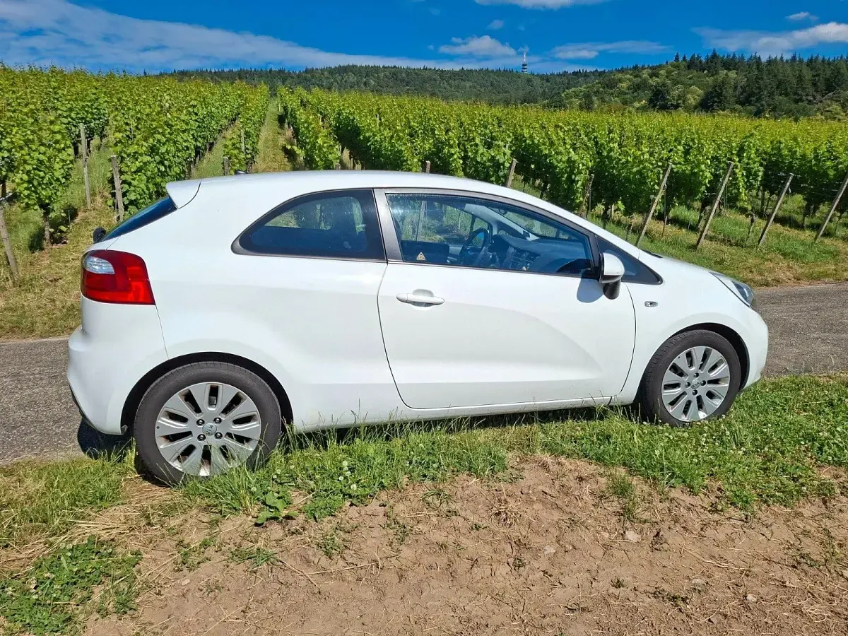 Gebraucht Kia Rio Edition 7 86 PS (63 kW) 2013 Weiß Kleinwagen