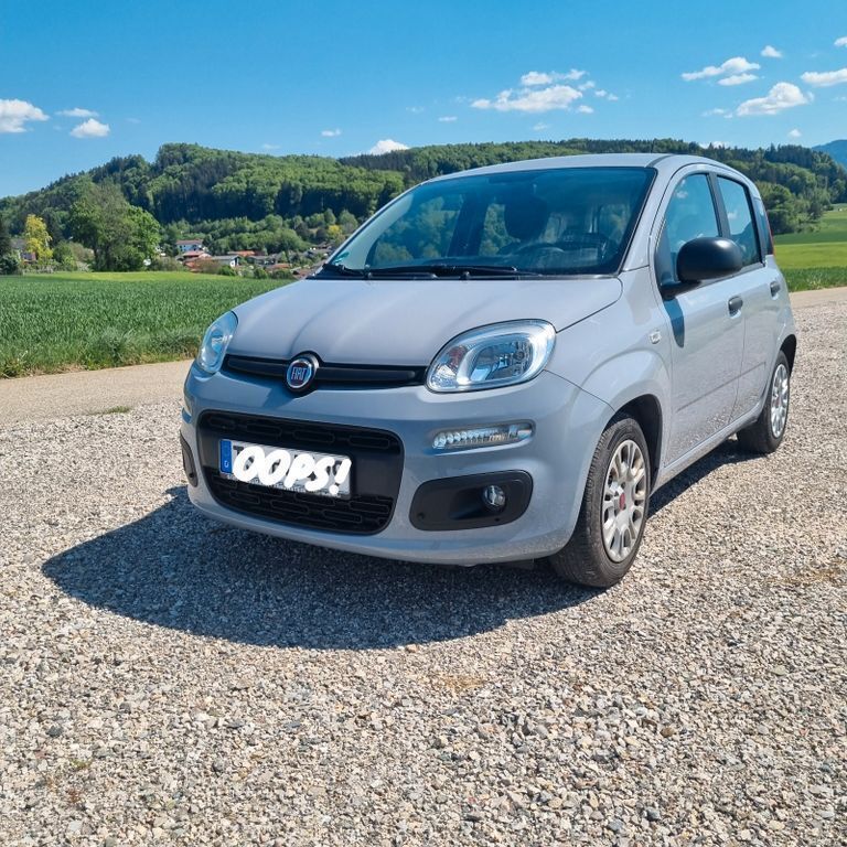 Grau Gebraucht 2021 Fiat Panda Kleinwagen | 7.900 € (Superpreis) - Bild 1/4