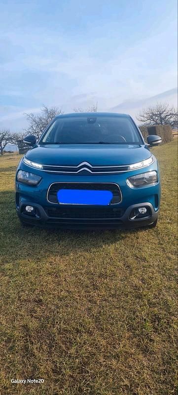 Gebraucht Citroën C4 Cactus Shine 110 PS (80 kW) 2019 Blau Kleinwagen