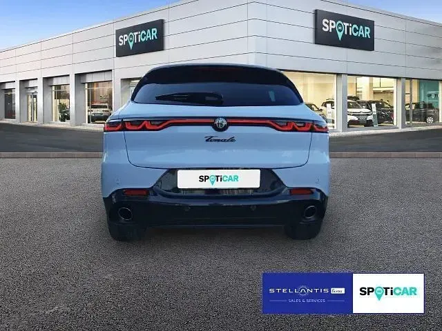 Gebraucht Alfa Romeo Tonale 280 PS (205 kW) 2023 Weiß SUV