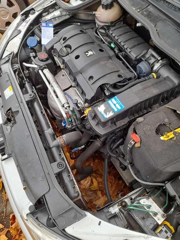 Gebraucht Peugeot 206 CC Quiksilver 109 PS (80 kW) 2005 Cabrio