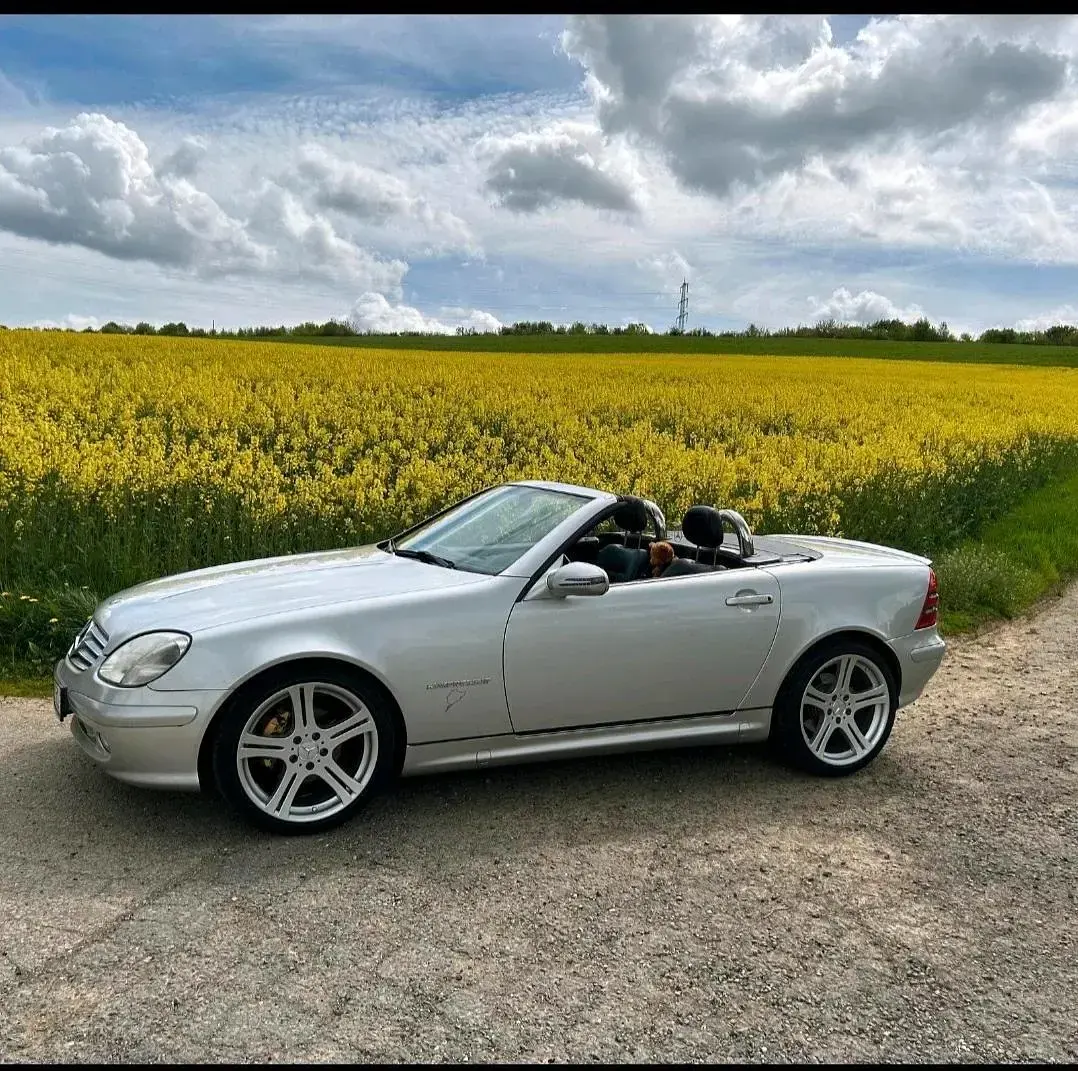Gebraucht Mercedes SLK230 194 PS (142 kW) 2001 Silber Cabrio