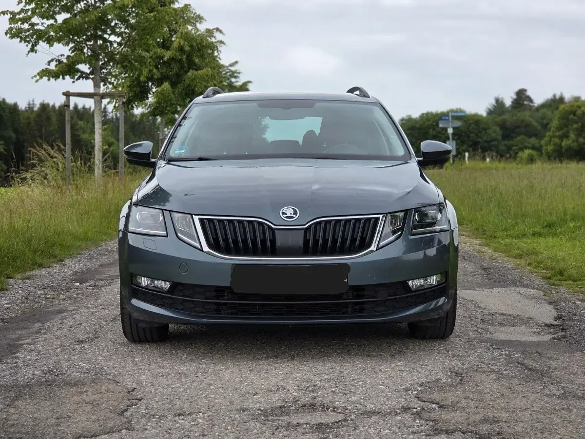 Gebraucht Skoda Octavia Ambition 150 PS (110 kW) 2018 Grau Kombi