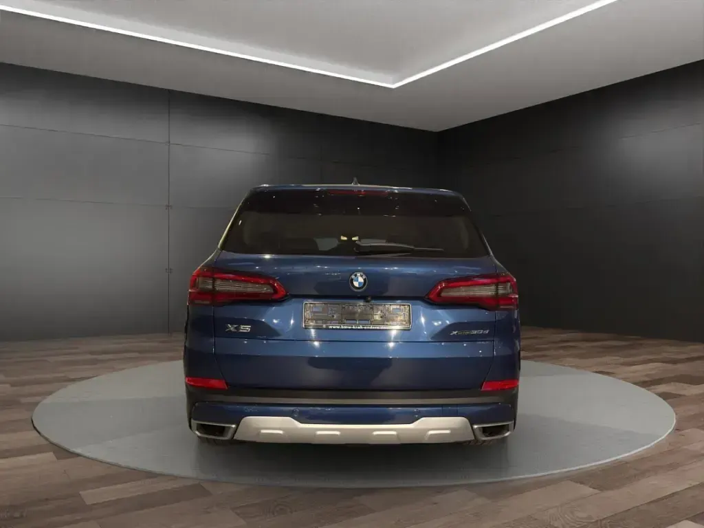 Gebraucht BMW X5 xLine 265 PS (194 kW) 2019 Blau SUV