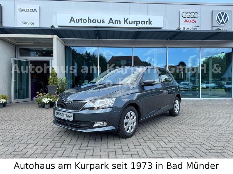 Grau Gebraucht 2018 Skoda Fabia Ambition Kleinwagen | 11.950 € (Fairer Preis) - Bild 1/3