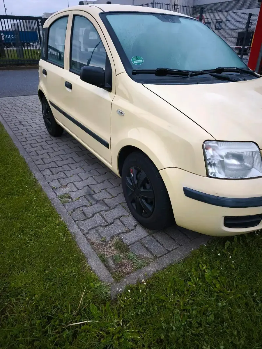 Gebraucht Fiat Panda 60 PS (44 kW) 2009 Gelb Kleinwagen