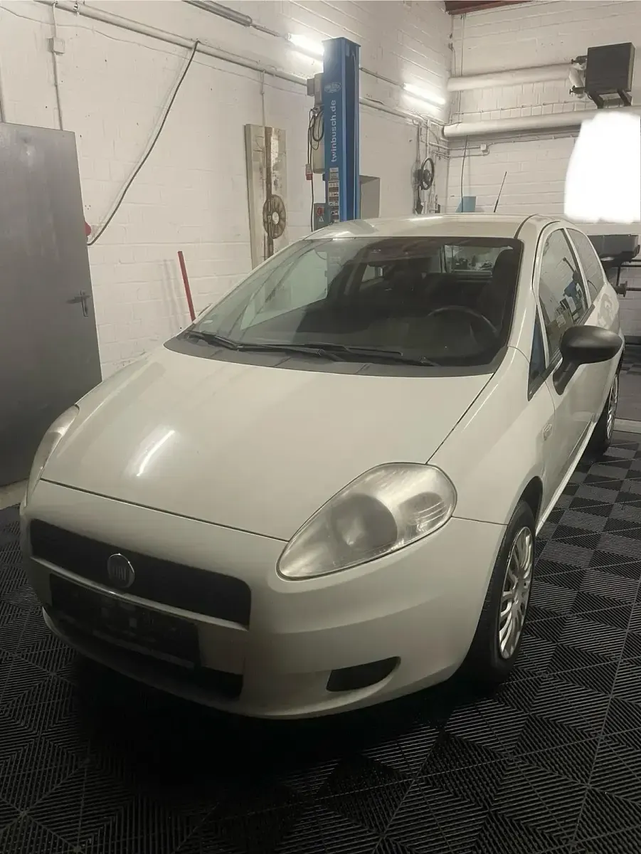 Gebraucht Fiat Punto 69 PS (50 kW) 2011 Weiß Kleinwagen