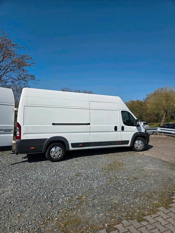 Gebraucht Fiat Ducato 180 PS (132 kW) 2014 Weiß Van