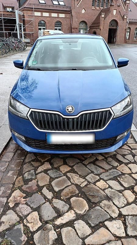 Gebraucht Skoda Fabia Active 60 PS (44 kW) 2019 Blau Kleinwagen