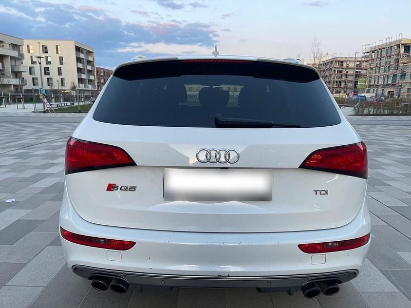 Gebraucht Audi SQ5 Competition 326 PS (239 kW) 2017 Weiß SUV