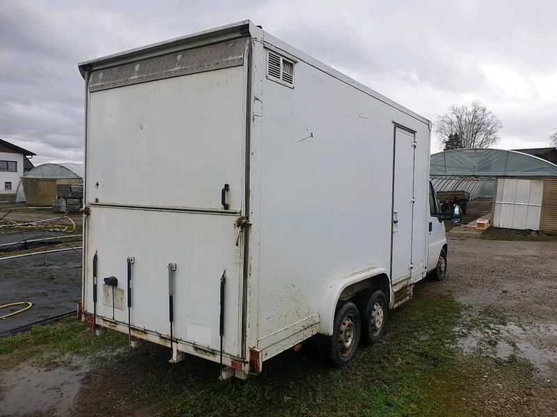 Gebraucht Fiat Ducato 128 PS (94 kW) 2001 Weiß Van