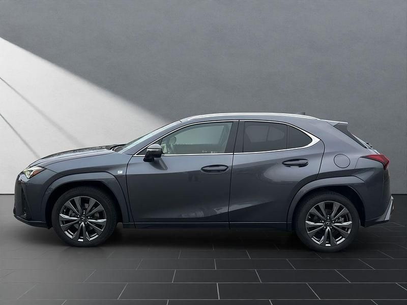 Gebraucht Lexus UX 250h Sport Line 184 PS (135 kW) 2023 Grau SUV