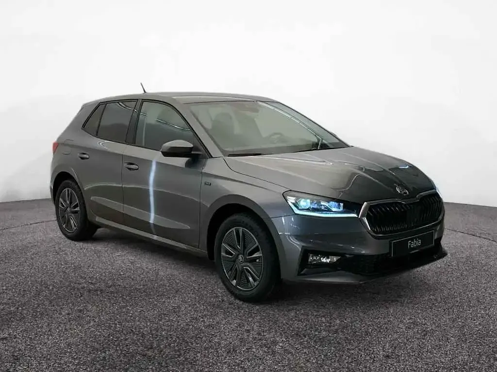 Gebraucht Skoda Fabia Tour 95 PS (69 kW) 2026 Grau Kleinwagen