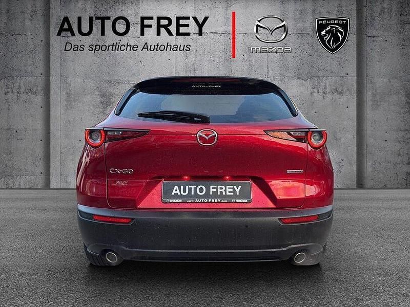 Gebraucht Mazda CX-30 2021 Rot SUV