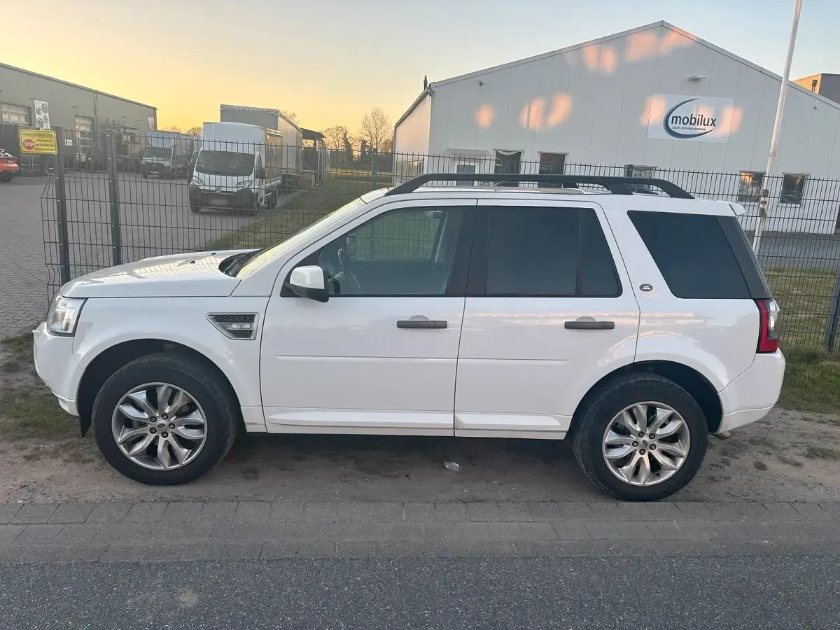 Gebraucht Land Rover Freelander 2 150 PS (110 kW) 2011 Weiß SUV