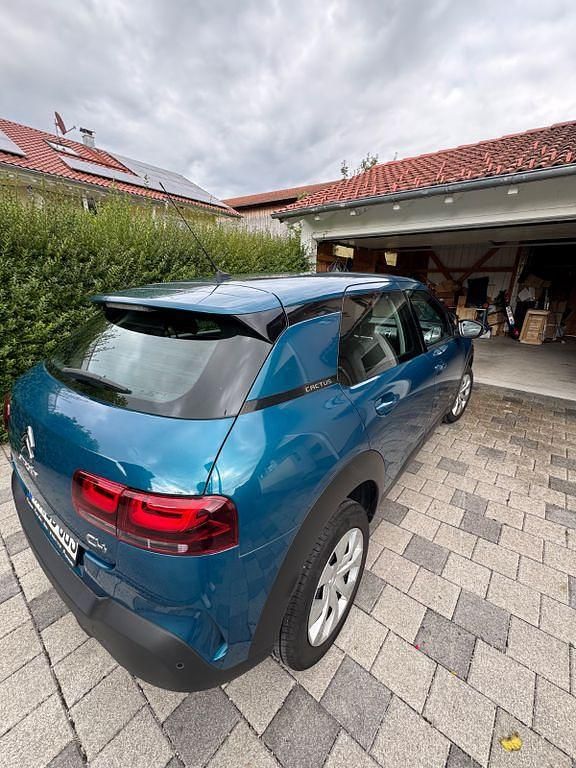 Blau Gebraucht 2019 Citroën C4 Cactus Feel Kleinwagen | 11.250 € (Fairer Preis) - Bild 1/4